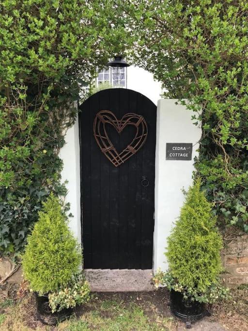 Cedra Cottage - Vintage Country Hideaway Axminster Εξωτερικό φωτογραφία
