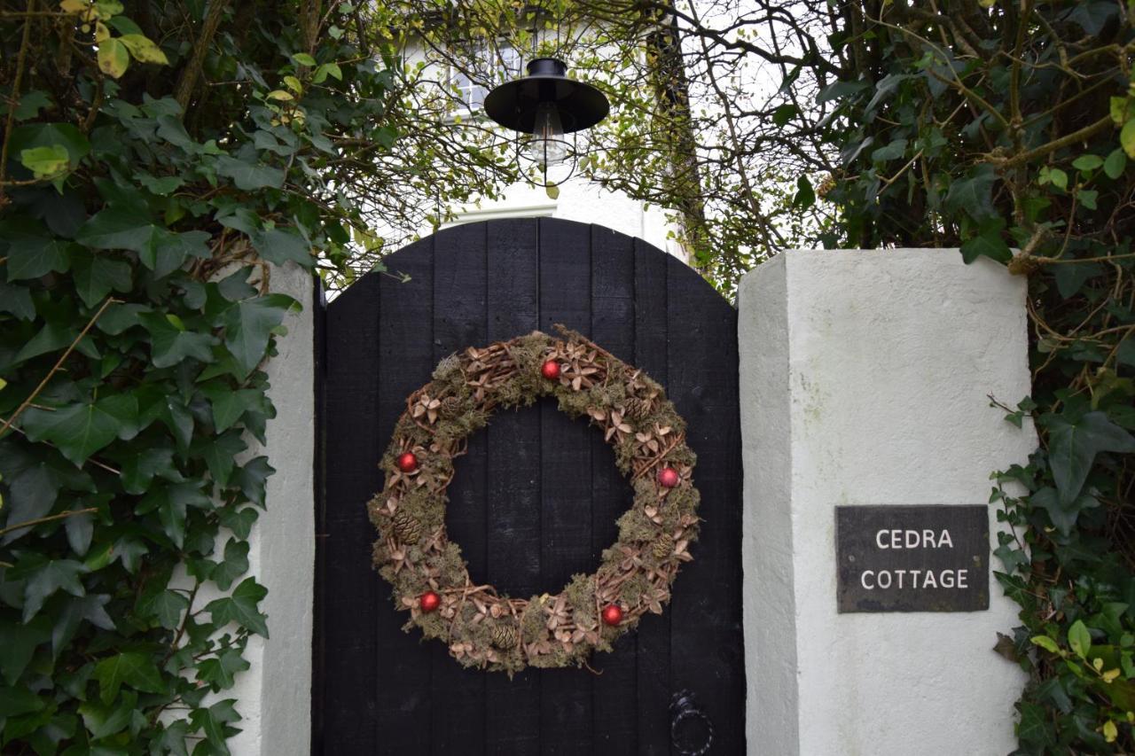 Cedra Cottage - Vintage Country Hideaway Axminster Εξωτερικό φωτογραφία