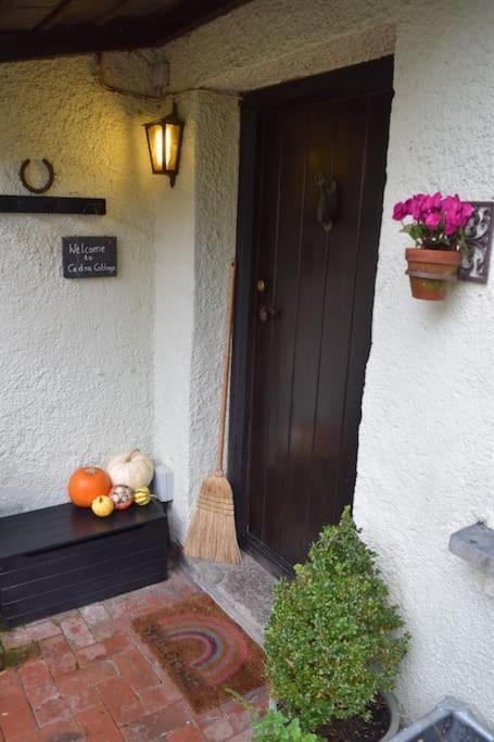 Cedra Cottage - Vintage Country Hideaway Axminster Εξωτερικό φωτογραφία