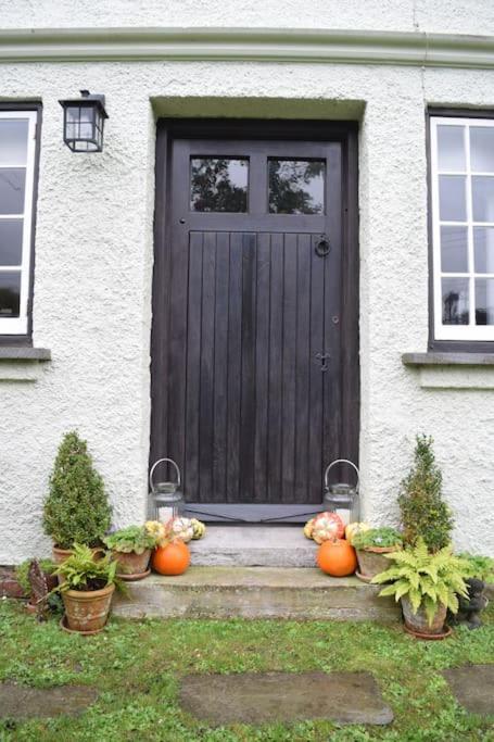 Cedra Cottage - Vintage Country Hideaway Axminster Εξωτερικό φωτογραφία