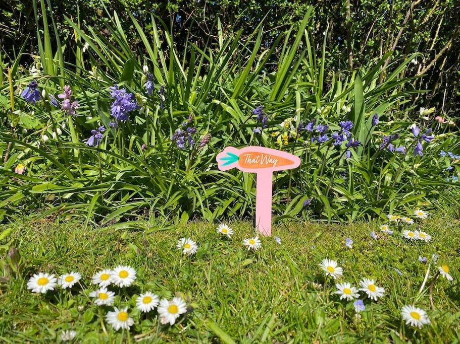 Cedra Cottage - Vintage Country Hideaway Axminster Εξωτερικό φωτογραφία